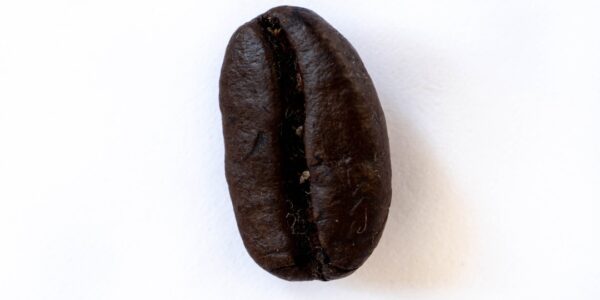 Photo Coffee beans